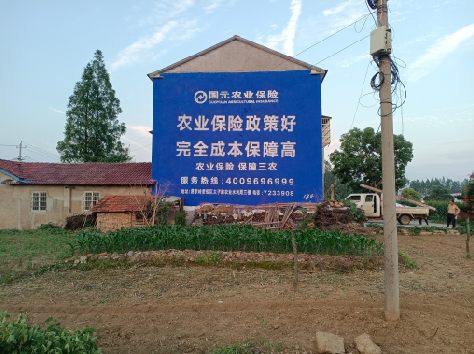 金平墙体广告的优劣势你知道吗？